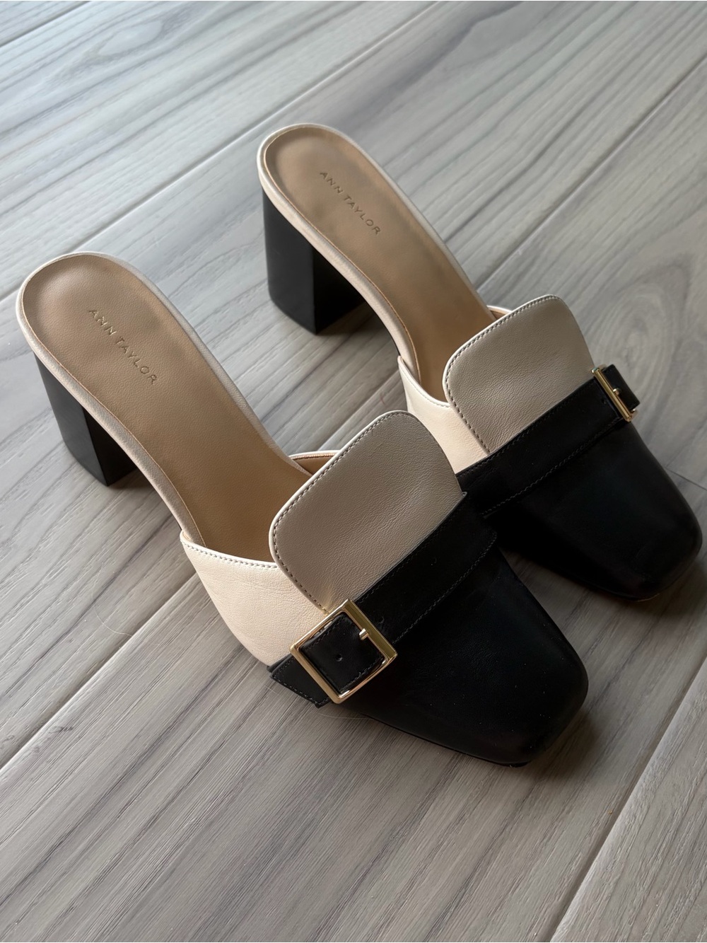 Ann Taylor Black and Cream Block Heel Buckle Mules